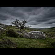 The Dusty Wizard - Rain-Soaked, Grey-Green And Windswept Lands Of My Heart