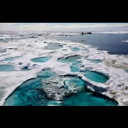 4-D Traveller - Canadian Arctic Coast