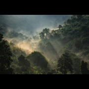 Cosmic Dream Club - Borneo (Part 1)