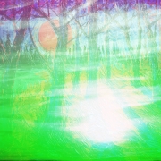 seer_655