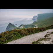 Cosmic Dream Club - Dorset