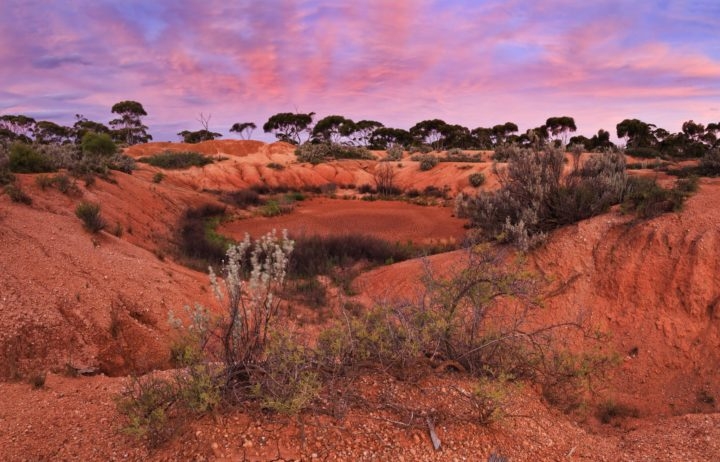 Cosmic Dream Club - Myth, Ritual And Mysticism On Red Soil