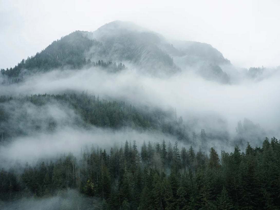 4-D Traveller - Great Bear Rainforest Expedition