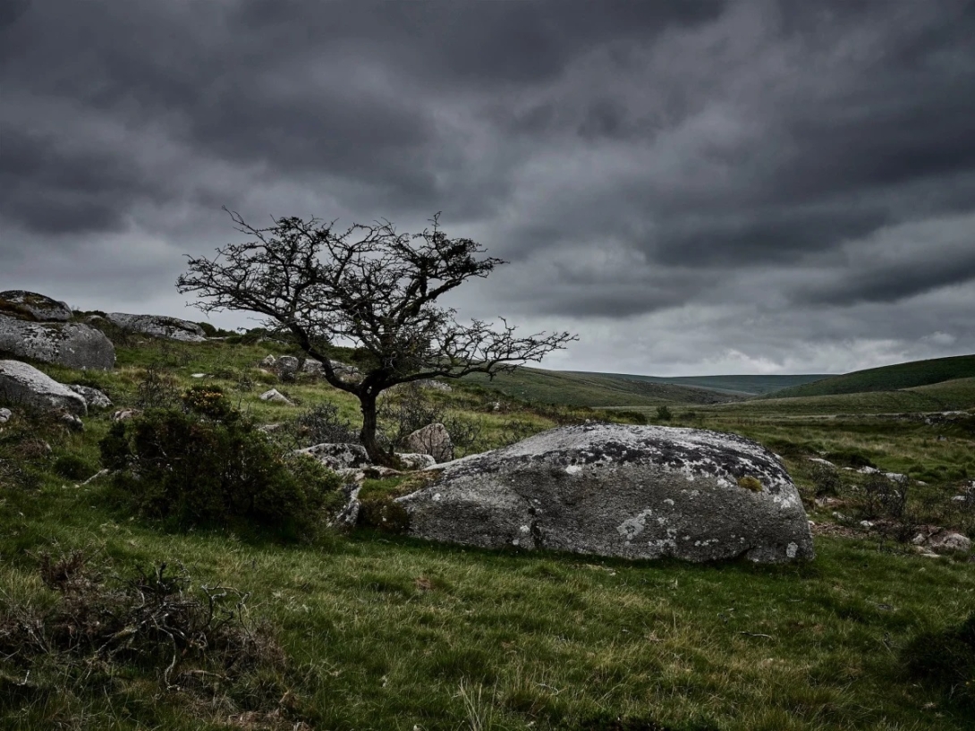 The Dusty Wizard - Rain-Soaked, Grey-Green And Windswept Lands Of My Heart