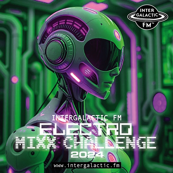 Cat Gadget Electro Challenge 2024 cover