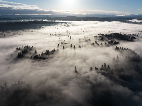 4-D Traveller - Pacific Northwest Wilderness